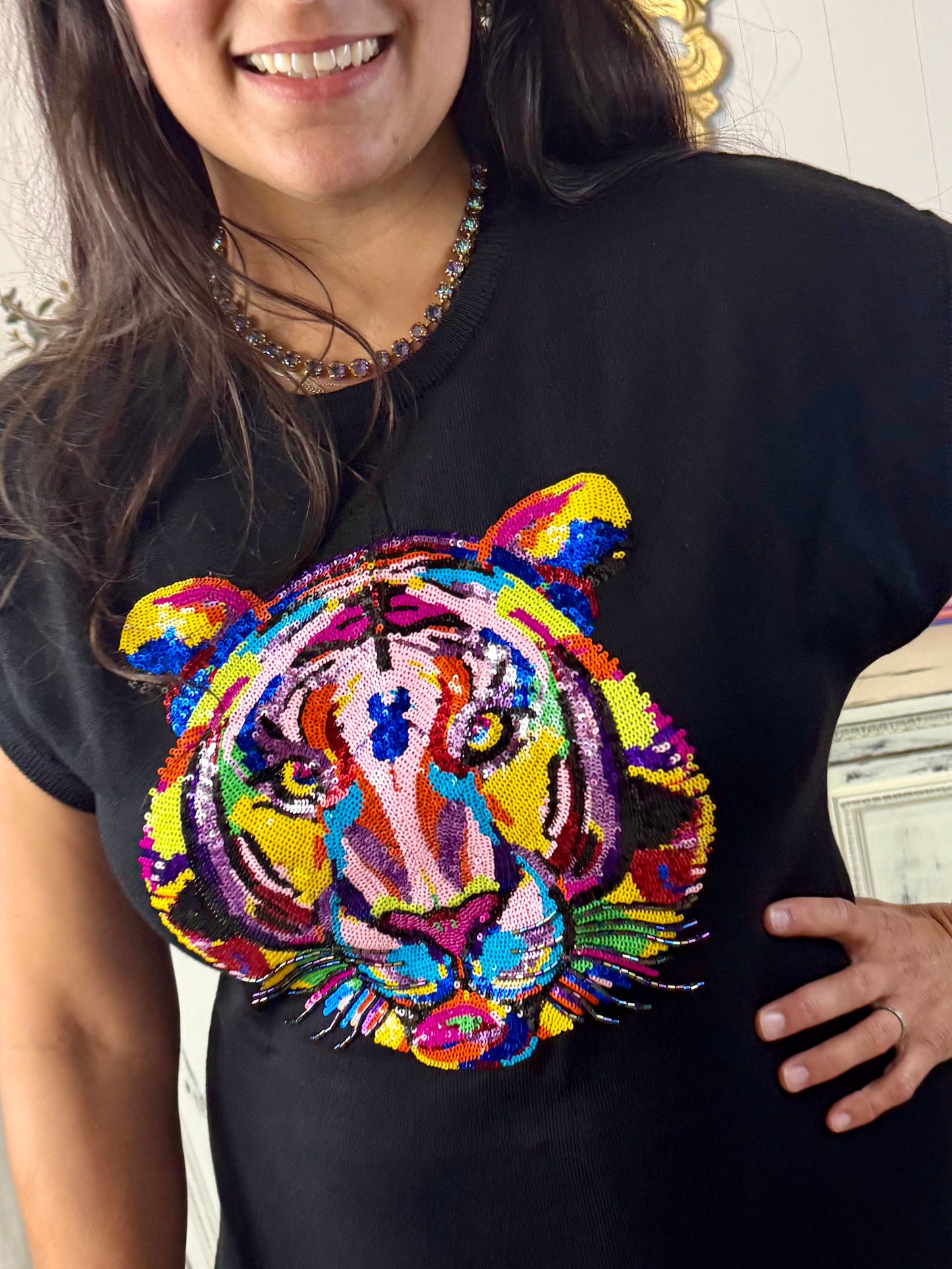 Queen of Sparkles Black Rainbow Tiger Dress