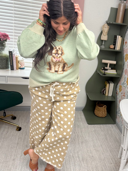Pretty Girl Pup Sweater