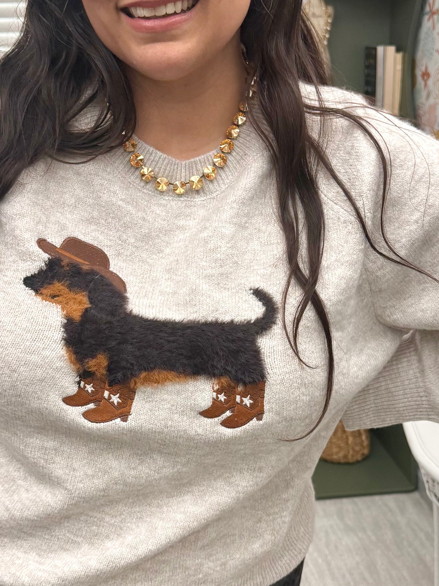 Little Cowboy Doxie Sweater