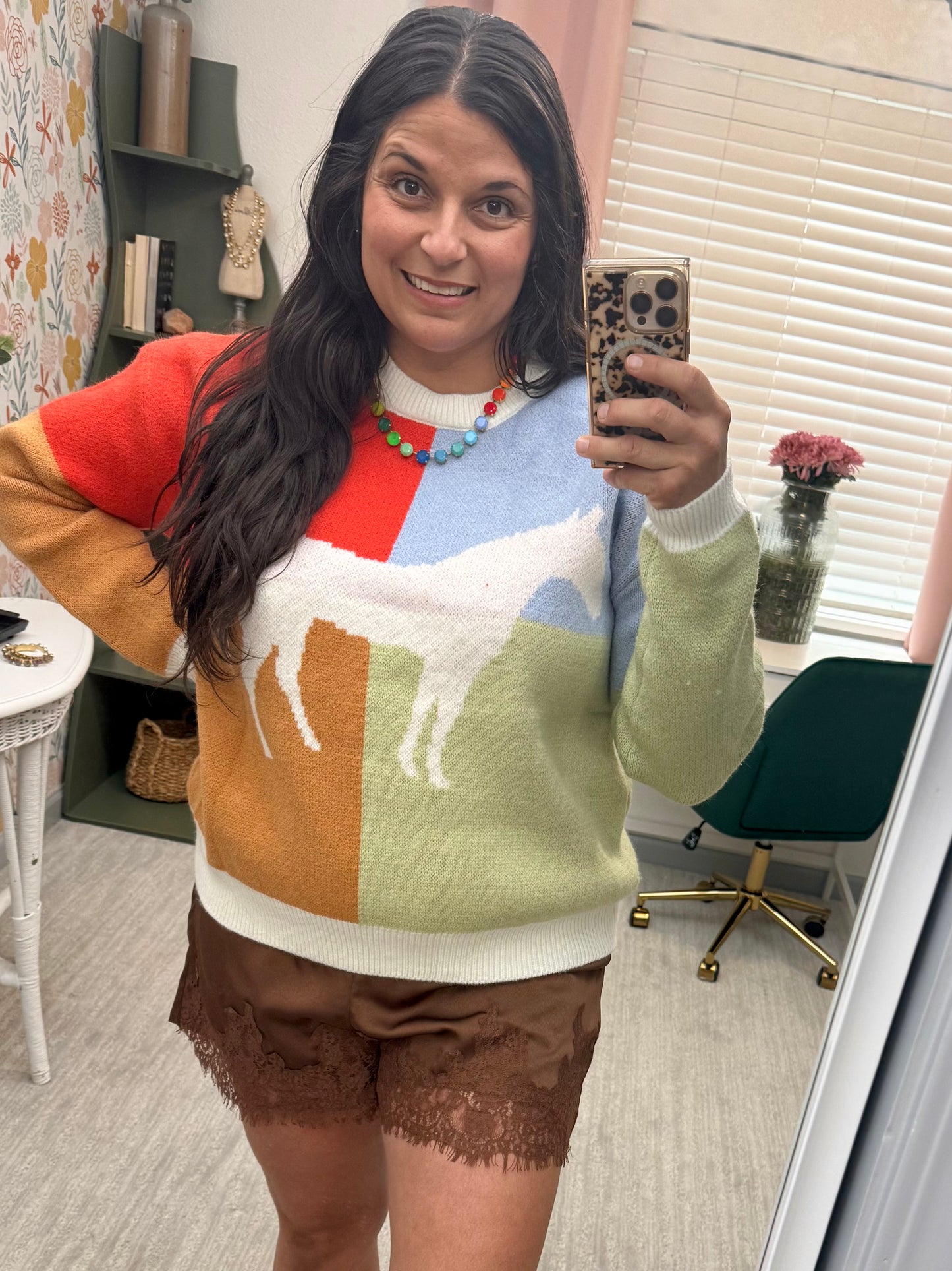 Colorblock Horse Sweater