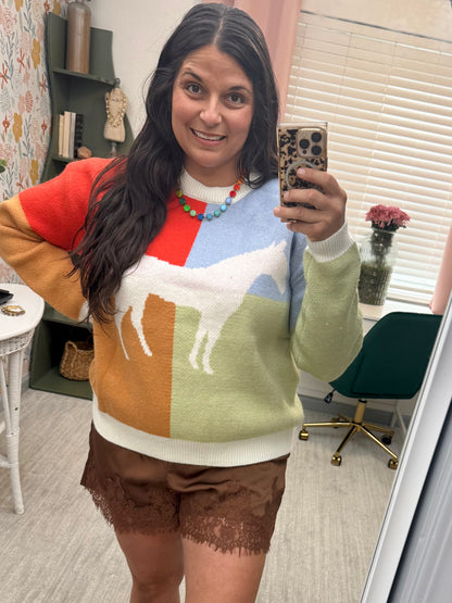 Colorblock Horse Sweater