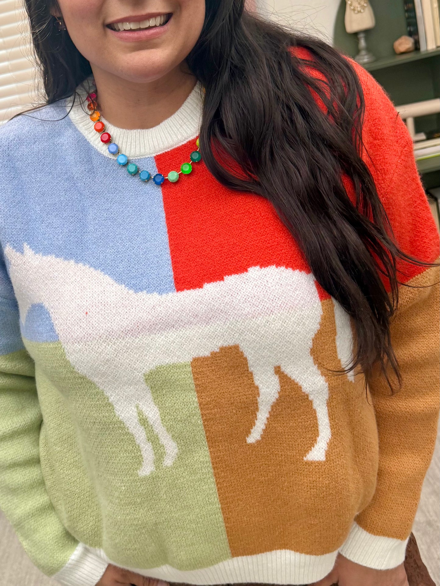 Colorblock Horse Sweater