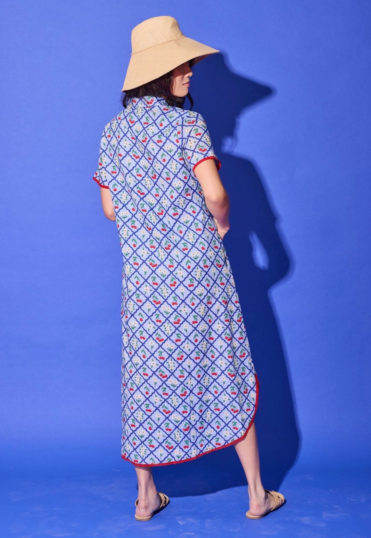 Alden Adair Josie Dress Light Blue Cherry