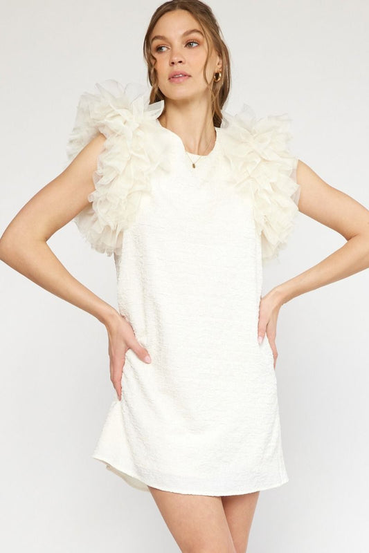 Cream Tulle Sleeve Textured Dress