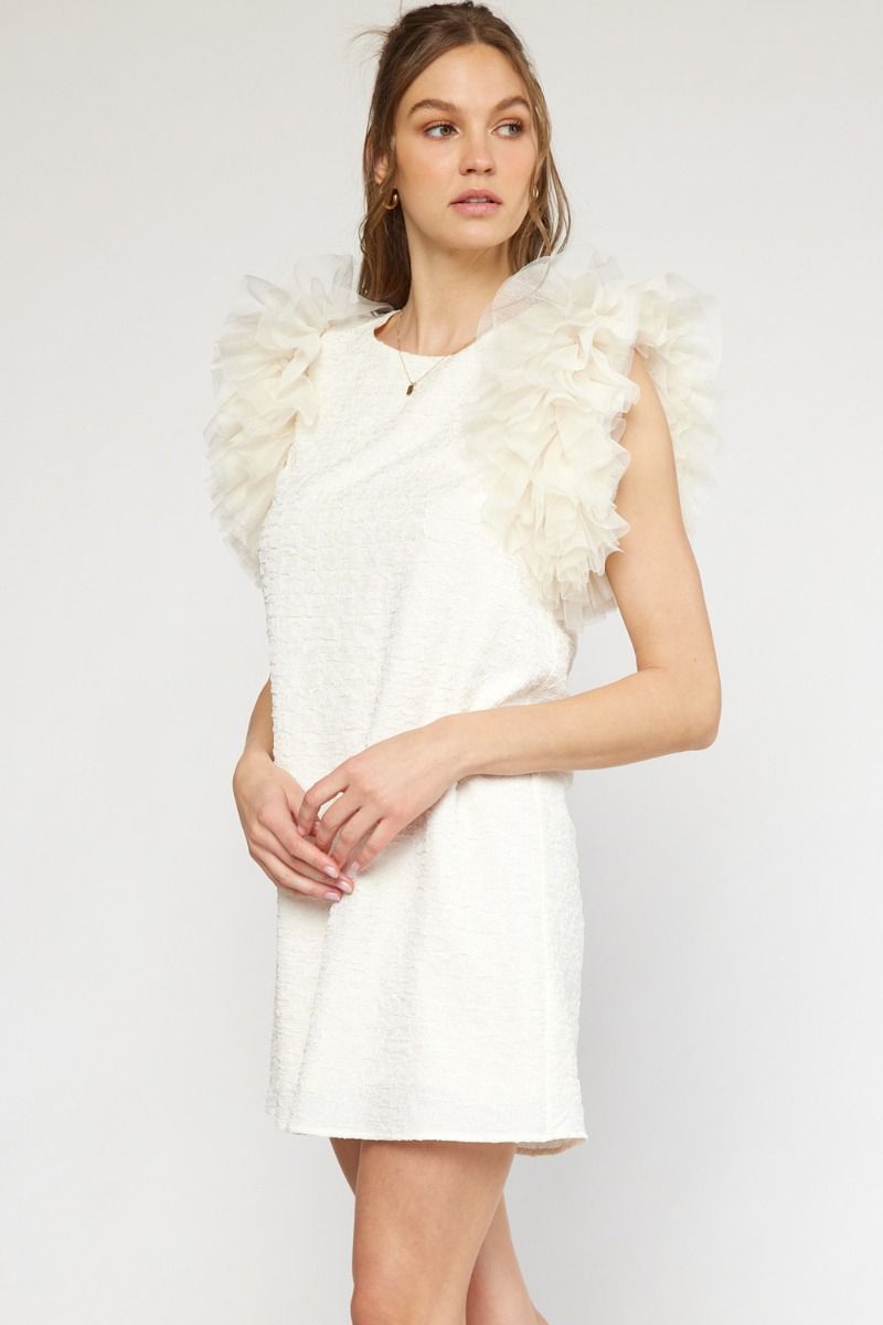 Cream Tulle Sleeve Textured Dress